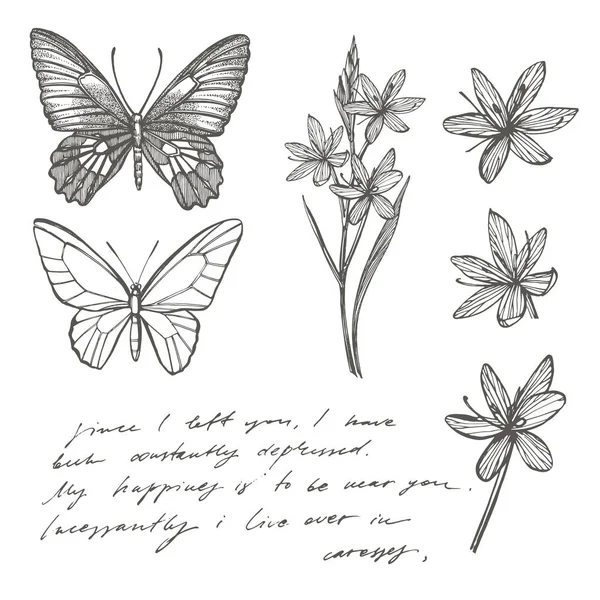 Kupu-kupu siluet. Templat kartu kupu-kupu di ckground romantis. Ilustrasi grafis. Kertas dinding teks abstrak tulisan tangan
. — Stok Gambar Kupu-kupu siluet. Templat kartu kupu-kupu di ckground romantis. Ilustrasi grafis. Kertas dinding teks abstrak tulisan tangan
. Stok Gambar Bebas Royalti