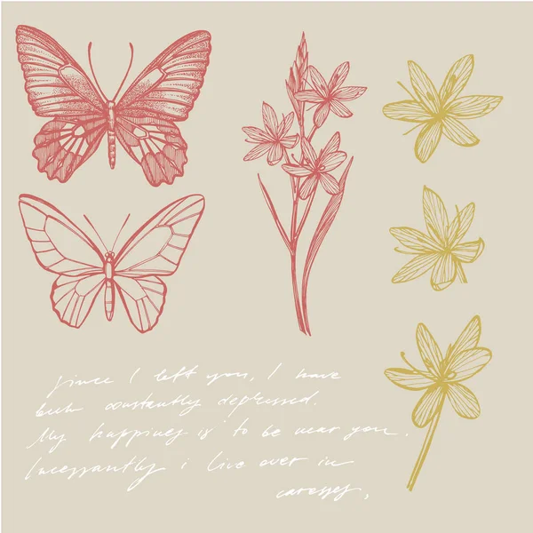 Fjärilar silhuetter. Fjäril kort mall på romantisk ckground. Grafisk illustration. Handskriven abstrakt text tapet. — Stockfoto