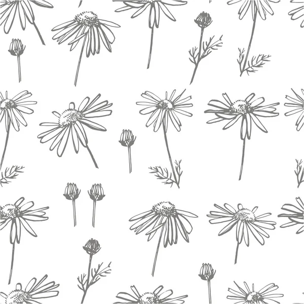 Chamomile or daisy flower. Botanical illustration. Good for cosmetics, medicine, treating, aromatherapy, nursing, package design, field bouquet. Hand drawn wild hay flowers. Seamless pattern. — Stock Photo, Image