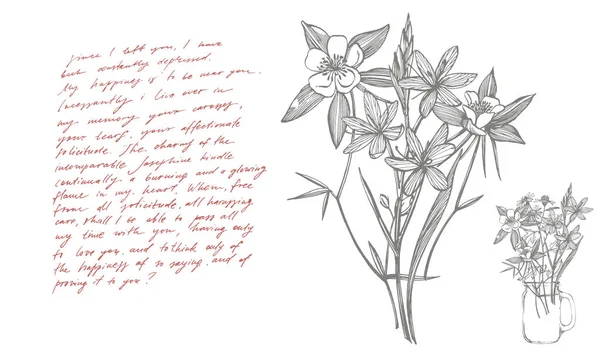 손으로 그린 꽃과 허브의 컬렉션입니다. 식물 그림입니다. 낭만적 인 배경에 카드 템플릿. 그래픽 일러스트레이션. 필기 추상 텍스트 벽지. — 스톡 사진