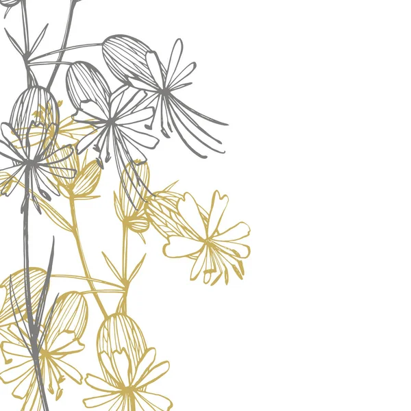 Blåsa Campion blommor. Uppsättning av ritning blåklint, blommiga element, handritade botaniska illustration. Bra för kosmetika, medicin, behandling, aromaterapi, omvårdnad, paket design, fält bukett — Stockfoto