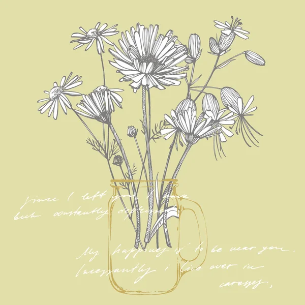 Tansy en kamille. Boeket van de hand getekende bloemen en kruiden. Botanische planten illustratie. Handgeschreven abstract tekst behang. Imitatie van een abstracte Vintage belettering. — Stockfoto