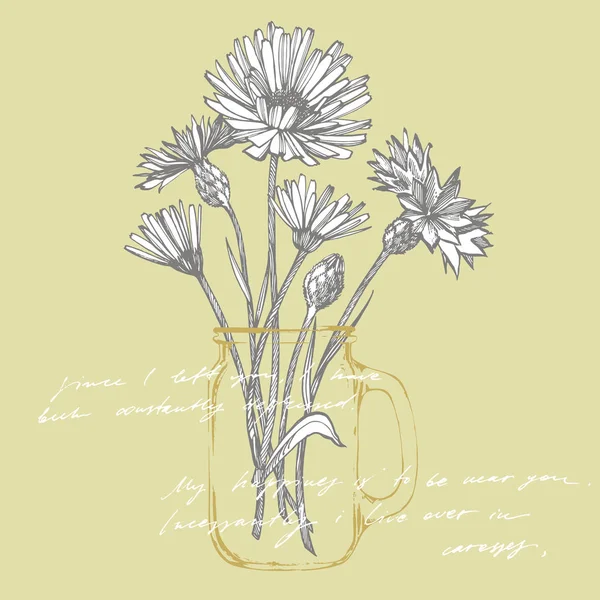 Tansy en kamille. Boeket van de hand getekende bloemen en kruiden. Botanische planten illustratie. Handgeschreven abstract tekst behang. Imitatie van een abstracte Vintage belettering. — Stockfoto