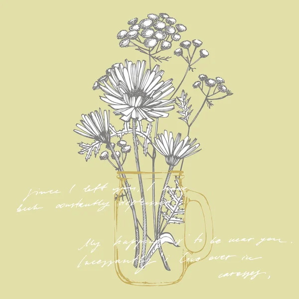 Tansy en kamille. Boeket van de hand getekende bloemen en kruiden. Botanische planten illustratie. Handgeschreven abstract tekst behang. Imitatie van een abstracte Vintage belettering. — Stockfoto