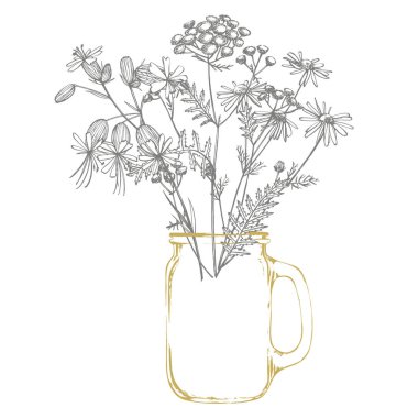 Tansy ve papatya. El çizilmiş çiçekler ve otlar buket. Botanik bitki illüstrasyon. El yazısı soyut metin duvar kağıdı.