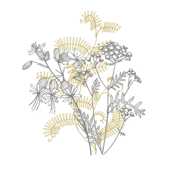 Κλάδος των άγριων φυτών βίτσια κράκα. Το Τσάντς Βέιτς ή τη βίτσια κράκα, vintage χαραγμένη εικόνα. Μπουκέτο με χειροποίητα λουλούδια και βότανα. Απεικόνιση βοτανικών φυτών. — Φωτογραφία Αρχείου