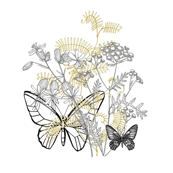 野生植物维西亚克拉卡的分支。塔夫提·韦奇或维西亚克拉卡，复古雕刻插图。手绘的花和草本花束。植物植物插图。蝴蝶. — 图库照片