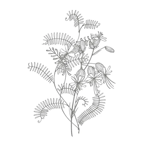 Ága a vadon élő növény Vicia cracca. Tufted vetch vagy Vicia cracca, Vintage gravírozott illusztráció. Csokor kézzel rajzolt virágok és gyógynövények. Botanikai növény illusztráció. — Stock Fotó