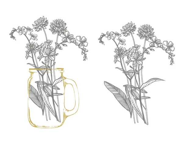 野生植物の枝忘れ、クローバー。●ヴィンテージ刻印イラスト。手描きの花とハーブの花束。植物のイラスト. — ストック写真
