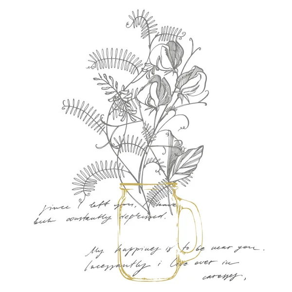 Édes borsó virágok rajzot és vázlatot Line-Art fehér háttérrel. Botanikus növény illusztráció. Kézzel írott absztrakt szöveg. — Stock Fotó