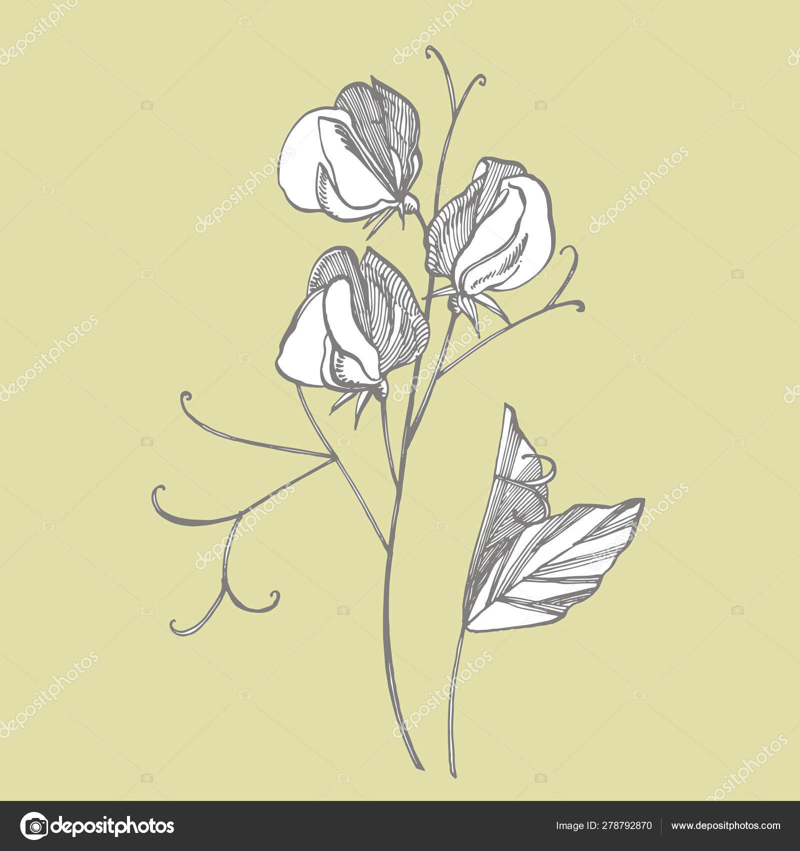 My Image 23