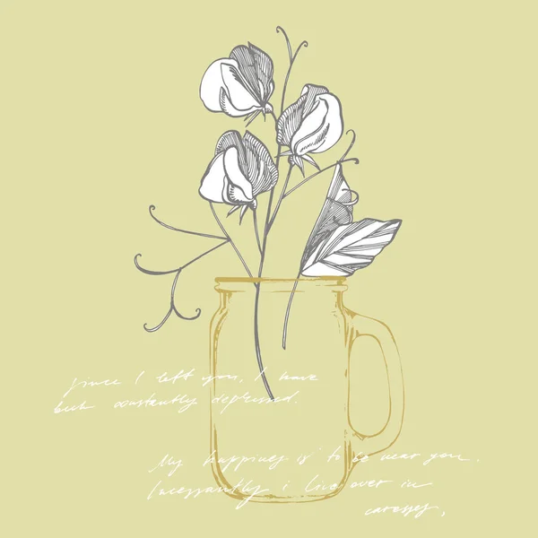 Sweet pea flowers drawing and sketch with line-art on white backgrounds. Botanical plant illustration. Handwritten abstract text.