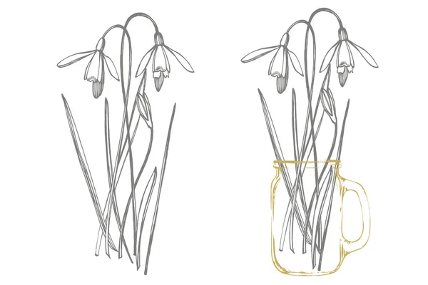 雪滴の春の花。植物のイラスト。ヴィンテージ薬草スケッチインク手描きの医療ハーブや植物のスケッチのセット. — ストック写真