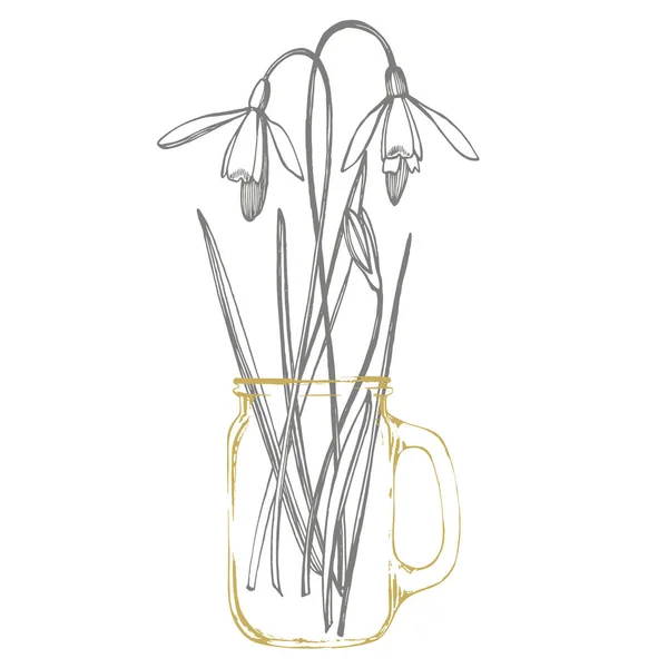 Снігопад весняні квіти. Ботанічна рослинна ілюстрація. Вінтажні лікарські трави ескіз набір чорнила рука намальовані медичні трави і рослини ескіз . — стокове фото