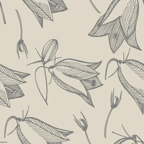 Ensemble de fleurs de Bellflower, feuilles et bouquets. Été naturel, prairie de printemps plantes monochromes. Illustration florale naturelle pour affiche, décoration textile. Illustration végétale botanique . — Photo