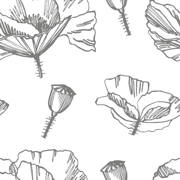 Poppy flowers. Botanical plant illustration. Vintage medicinal herbs sketch set of ink hand drawn medical herbs and plants sketch. Seamless patterns.