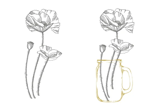 ポピーの花植物のイラスト。ヴィンテージ薬草スケッチインク手描きの医療ハーブや植物のスケッチのセット. — ストック写真