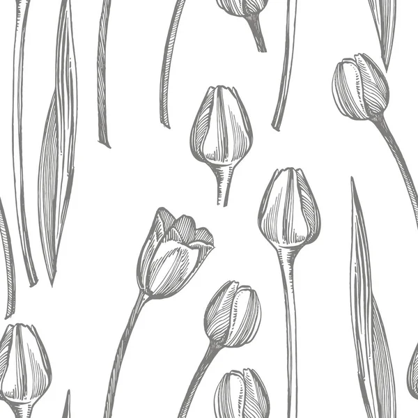 Tulip flower graphic sketch illustration. Botanical plant illustration. Vintage medicinal herbs sketch set of ink hand drawn medical herbs and plants sketch. Seamless patterns. — Stock Photo, Image