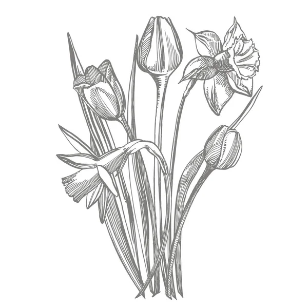 Tulpen en Narcissus bloemen boeket geïsoleerd op witte achtergrond. Set van tekening korenbloemen, florale elementen, hand getekende botanische illustratie. — Stockfoto