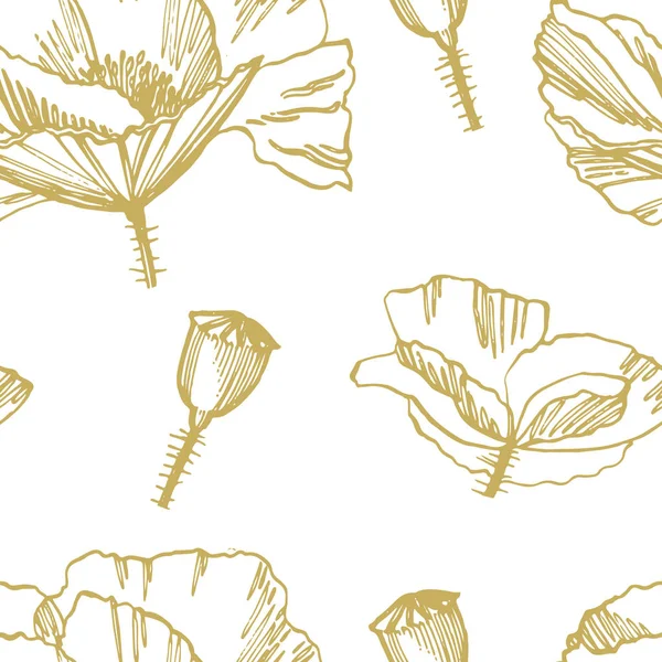 Poppy virágok. Botanikus növény illusztráció. Vintage gyógynövények vázlat meg a tinta kézzel rajzolt gyógynövények és növények vázlat. Problémamentes minták. — Stock Fotó