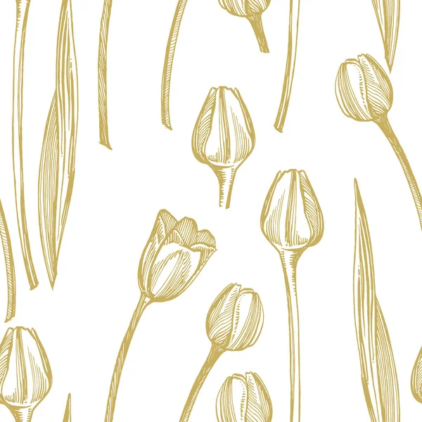 Иллюстрация цветка тюльпана. Ботаническая иллюстрация растений. Винтажные лекарственные травы набросок набора чернил ручной работы медицинских трав и растений набросок. Бесшовные шаблоны . — стоковое фото
