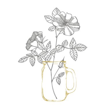 Yabani gül çiçekleri çizim ve çizim çizimleri. Kumaş, tekstil, ambalaj kağıdı, kart, davetiye, duvar kağıdı, web tasarımı için dekoratif çiçek seti.