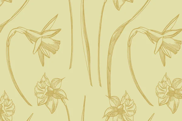 손으로 그린 꽃과 식물의 컬렉션입니다. 식물학. 설정. 빈티지 꽃입니다. 조각 스타일의 흑백 그림. 낭만적 인 배경에 카드 템플릿. 그래픽 일러스트레이션. — 스톡 사진