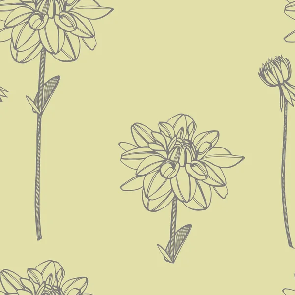 Hand-drawn ink dahlias. Floral elements. Graphic flowers illustrations. Botanical plant illustration. Vintage medicinal herbs sketch set of ink hand drawn medical herbs and plants sketch. Seamless
