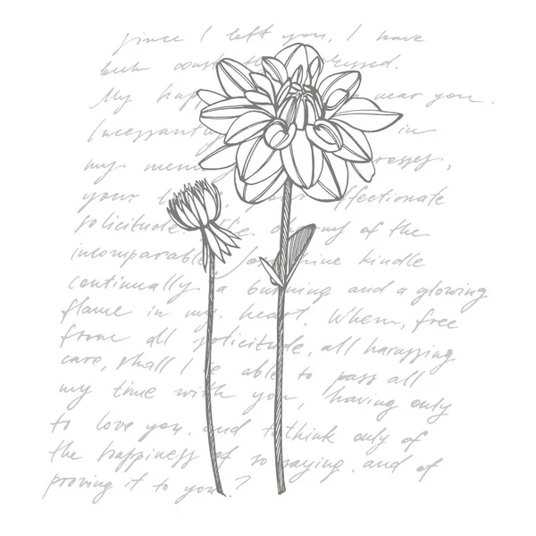 手描きのインクダリア。花の要素。グラフィックフラワーイラスト。植物のイラスト。手書きの抽象テキスト. — ストック写真