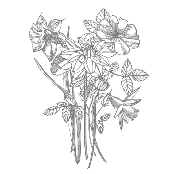 Rosas y flores de Dahlias ramo aislado sobre fondo blanco. Conjunto de dibujos acianos, elementos florales, ilustración botánica dibujada a mano. Texto abstracto manuscrito . —  Fotos de Stock