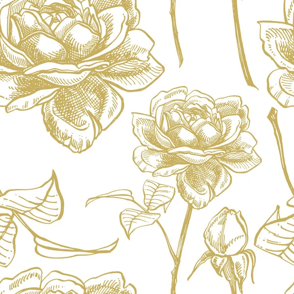Roses. Hand drawn flower set illustrations. Botanical plant illustration. Vintage medicinal herbs sketch set of ink hand drawn medical herbs and plants sketch. Seamless patterns. — Stock Photo, Image