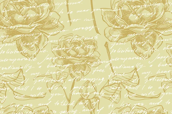 Růže. Ručně tažené ilustrace sady květin. Ukázka botanického závodu. Staré léčivé byliny nákres sady ručně kreslené lékařské byliny a rostlin. — Stock fotografie