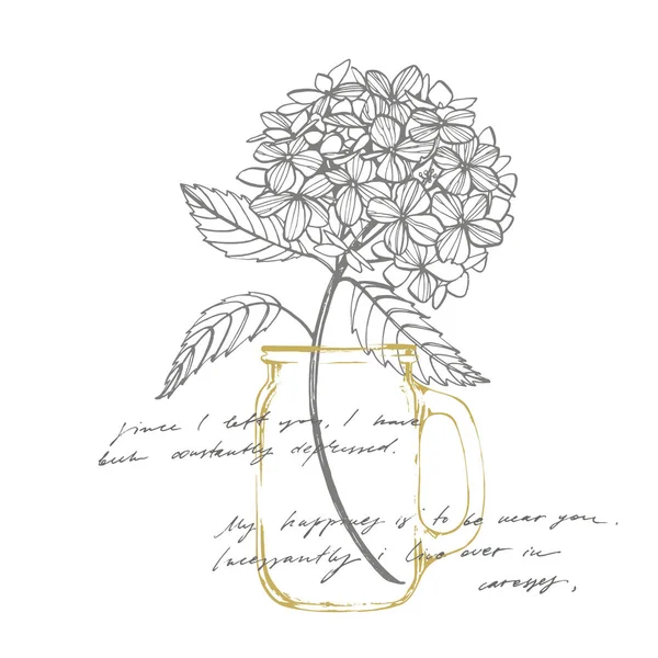 Hydrangea ilustração gráfica em estilo vintage. Desenho de flores e esboço com linha-arte em fundos brancos. Ilustração botânica da planta. Texto abstrato manuscrito . — Fotografia de Stock