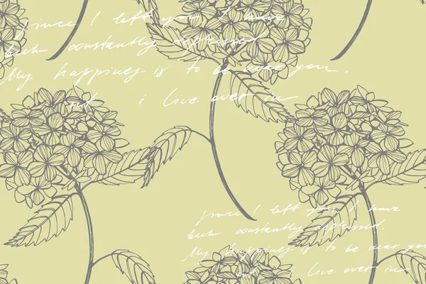 Hydrangea графическая иллюстрация в винтажном стиле. Цветы рисуют и рисуют на белом фоне. Ботаническая иллюстрация растений. Абстрактный текст . — стоковое фото