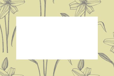 Zambak çiçekleri. Botanik illüstrasyon. Kozmetik, tıp, tedavi, aromaterapi, hemşirelik, paket tasarımı, alan buketi için iyi. Elle çizilmiş yabani saman çiçekleri.