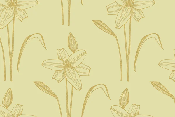 Lily flowers. Botanical illustration. Good for cosmetics, medicine, treating, aromatherapy, nursing, package design, field bouquet. Hand drawn wild hay flowers. — Stock Photo, Image