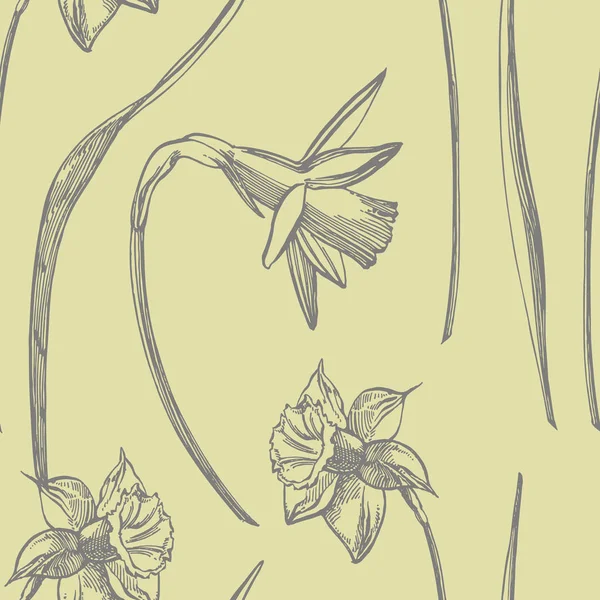 수선화 또는 수선화 꽃 그림. 손으로 그린 흑백 수선화의 컬렉션입니다. 손으로 그린 식물 그림. 원활한 패턴. — 스톡 사진