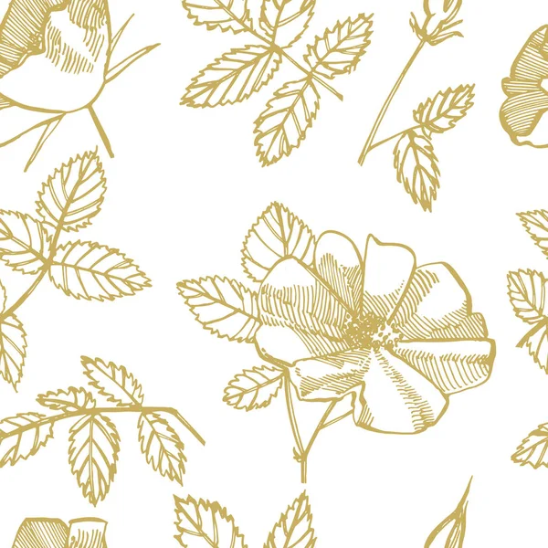 Wild rose flowers drawing and sketch illustrations. Decorative floral set for fabric, textile, wrapping paper, card, invitation, wallpaper, web design. Seamless patterns. — Stock Photo, Image