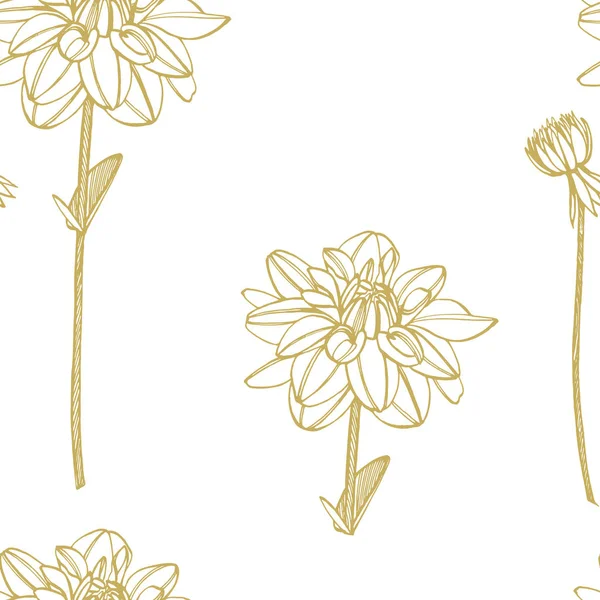 Kézzel rajzolt dahlias tinta. Virágos elemek. Grafikai virágok illusztrációk. Botanikus növény illusztráció. Vintage gyógynövények vázlat meg a tinta kézzel rajzolt gyógynövények és növények vázlat. Zökkenőmentes — Stock Fotó