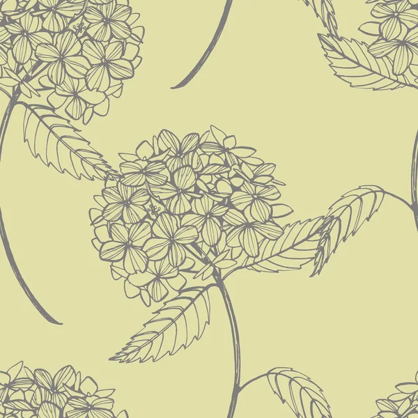 Hydrangea графическая иллюстрация в винтажном стиле. Цветы рисуют и рисуют на белом фоне. Ботаническая иллюстрация растений. Бесшовный рисунок . — стоковое фото