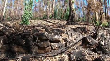 Camino de Santiago, Vila Praia De Ancora üzerinden. Camino Portekizleri.