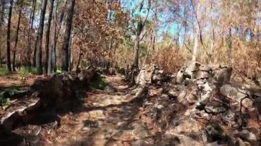 Camino de Santiago, Vila Praia De Ancora üzerinden. Camino Portekizleri.