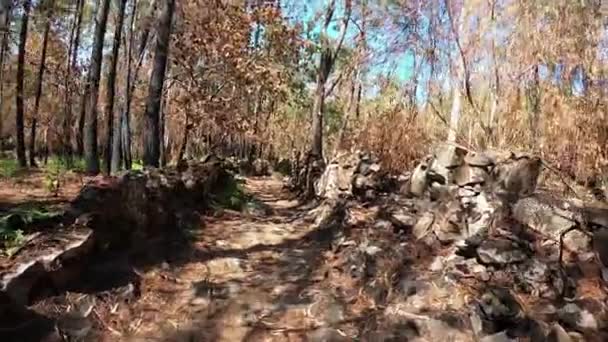 Caminho de Santiago através de Vila Praia De Ancora. Camino Portugues . — Vídeo de Stock