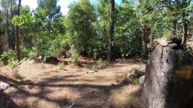 Camino de Santiago, Vila Praia De Ancora üzerinden. Camino Portekizleri.