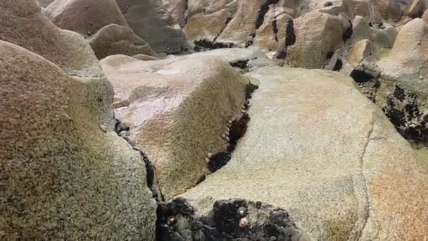 Vista sull'Oceano Atlantico. Spiaggia vuota a Povoa de Varzim, Portogallo nella nebbiosa giornata autunnale con onde che si infrangono sulla riva sottostante e nebbia in lontananza. Acqua battendo contro le pietre sulla riva . — Video Stock