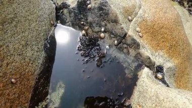 Atlantik Okyanusu manzarası. Povoa de Varzim Boş plaj, Portekiz sisli sonbahar gününde dalgalar aşağıda kıyıya çökmesini ve mesafe sis ile. Kıyıda taşlara vuran su.