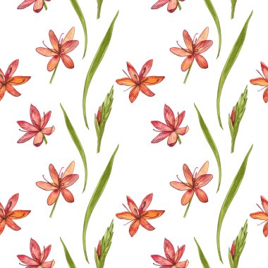 Kafir Zambak çiçekleri. Kusursuz desenler. El çizilmiş çiçek ve bitkilerin toplanması. Botanik. Ayarlamak. Vintage çiçekler. Çiçek ve yaprakların suluboya seti, el çizilmiş çiçek illüstrasyon izole bir