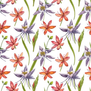 Kafir Zambak çiçekleri. Kusursuz desenler. El çizilmiş çiçek ve bitkilerin toplanması. Botanik. Ayarlamak. Vintage çiçekler. Çiçek ve yaprakların suluboya seti, el çizilmiş çiçek illüstrasyon izole bir