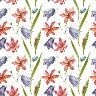 Kafir Zambak çiçekleri. Kusursuz desenler. El çizilmiş çiçek ve bitkilerin toplanması. Botanik. Ayarlamak. Vintage çiçekler. Çiçek ve yaprakların suluboya seti, el çizilmiş çiçek illüstrasyon izole bir