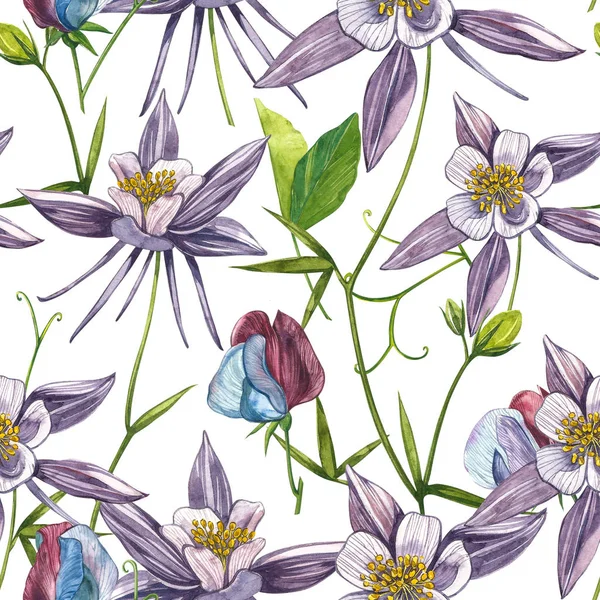 Çift Columbine çiçekleri. Kusursuz desen. El çizilmiş çiçek ve bitkilerin toplanması. Çiçek ve yaprakların suluboya seti, beyaz bir arka plan üzerinde izole el çizilmiş çiçek illüstrasyon. Botanik